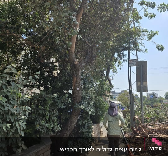 אדם עם כלי גיזום הולך ליד עץ ושיחים
